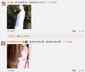 谢娜最新微博爆料,揭秘明星幕后趣事，独家幕后花絮大公开！  第2张