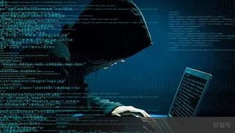 超级黑客爆料视频大全最新,视频大全深度解析  第2张 超级黑客爆料视频大全最新,视频大全深度解析  第2张