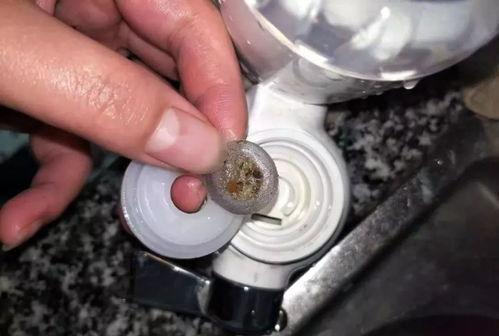 虫子最新爆料,揭秘娱乐圈惊天大事件！  第3张