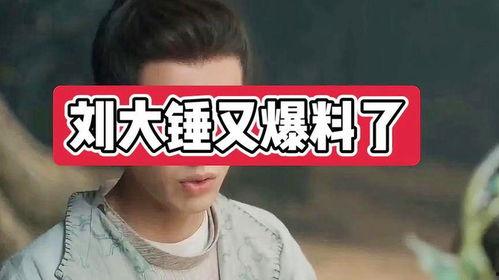 刘大锤爆料王鹤立视频,揭秘背后惊人内幕  第2张